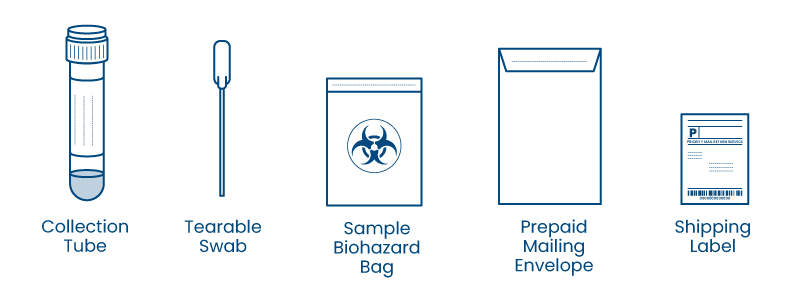 Personal Lab Testing Instructions Thumbnail SWAB Verify Components